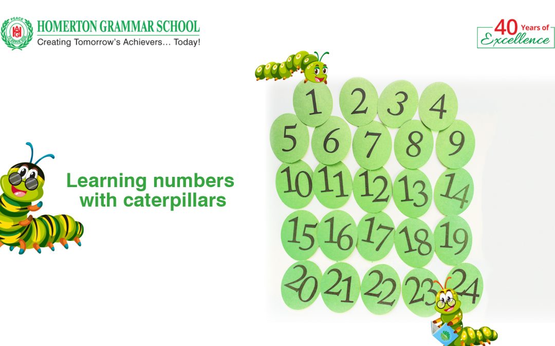 Can caterpillar activity help school students learn numbers?